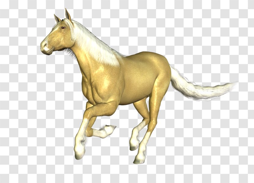 Mustang Mane Stallion Colt Arabian Horse - Cabal Transparent PNG