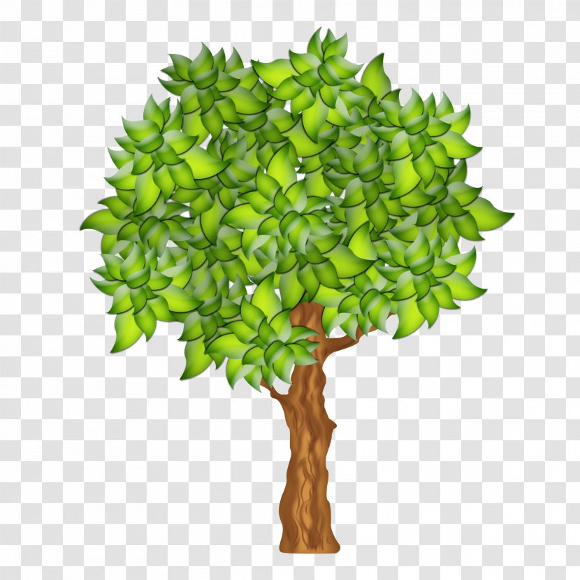 Green Plant Tree Leaf Woody - Grass - Jade Flower Branch Transparent PNG