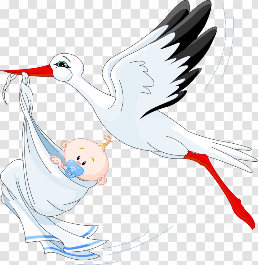 Infant Stork Clip Art - Wing Transparent PNG