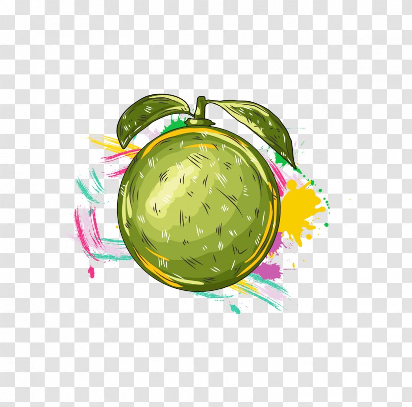 Lemon Adobe Illustrator Illustration Green Sentimental Transparent Png