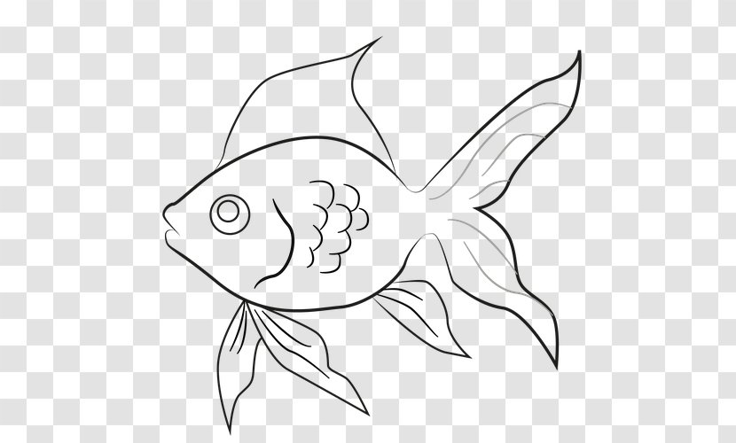 Drawing USMLE Step 3 Line Art Goldfish Clip - Butterfly Transparent PNG