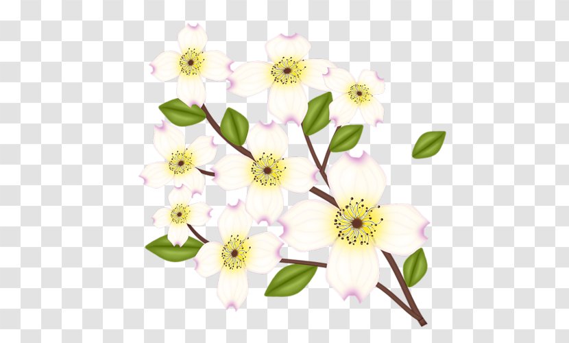 Rose Floral Design Flower - Plant Transparent PNG