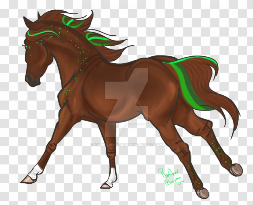 Foal Mane Mare Stallion Mustang - Horse Transparent PNG