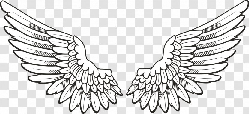 Drawing Clip Art - Fictional Character - Falcon Transparent PNG