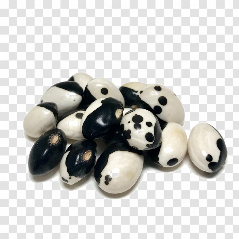 Seed Calypso Bean Yin And Yang - Parcel - Jacobs Beans Transparent PNG