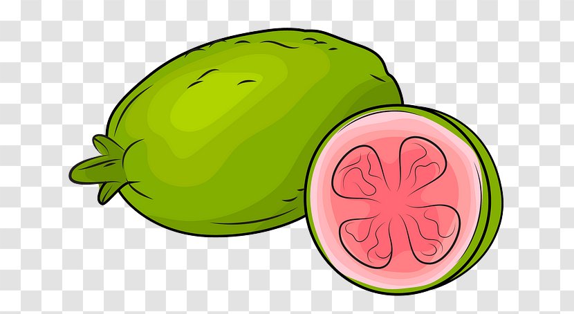 Watermelon - Food Cucumber Gourd And Melon Family Transparent PNG