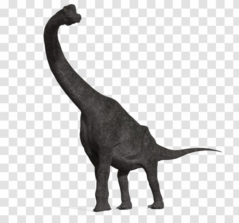 Brachiosaurus Apatosaurus Diplodocus Tyrannosaurus Plesiosauria - Terrestrial Animal - Dinosaur Transparent PNG