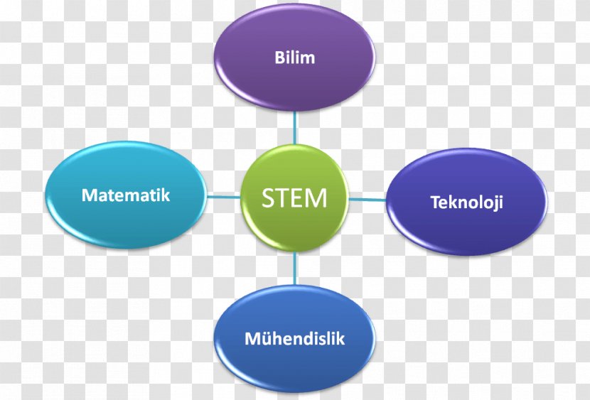Legal Profession Lawyer Judge Organization - Law - Stem Science And Technology Transparent PNG