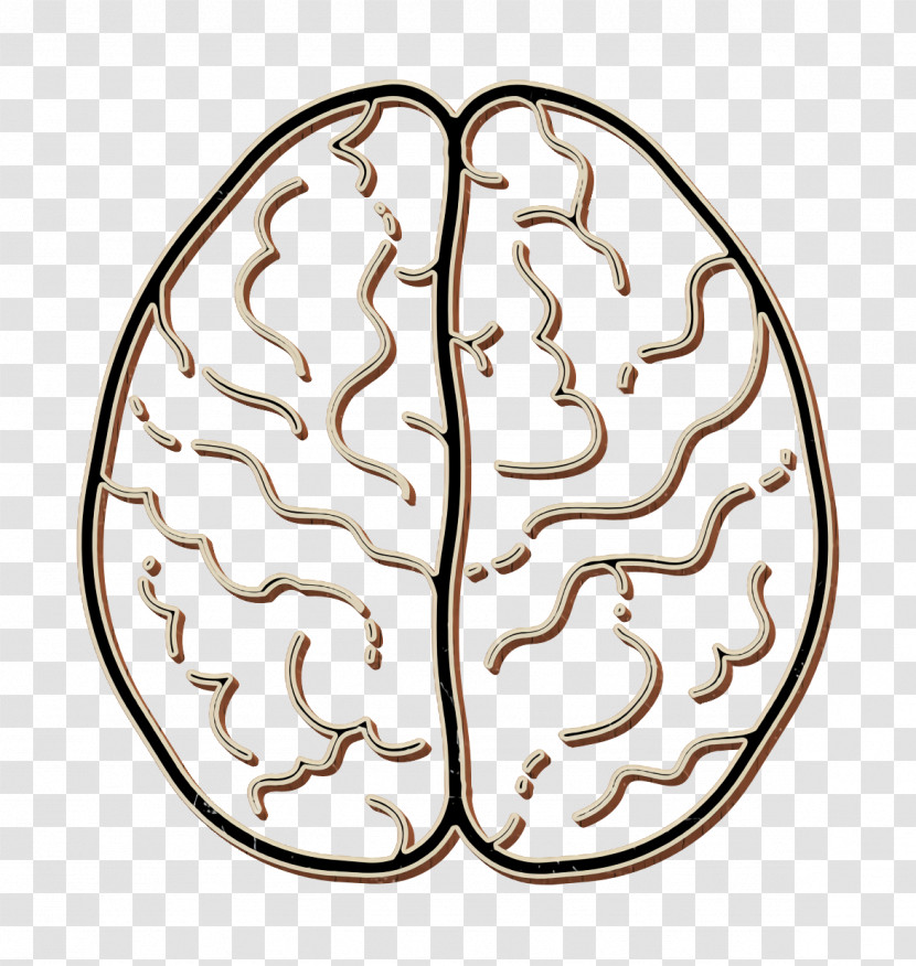 Human Anatomy Icon Brain Icon Transparent PNG