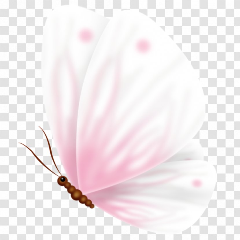 Butterfly Download - Flowering Plant Transparent PNG