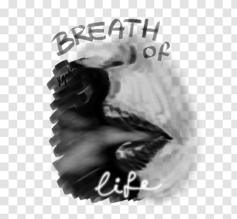 Jaw Font Black - Breath Life Transparent PNG