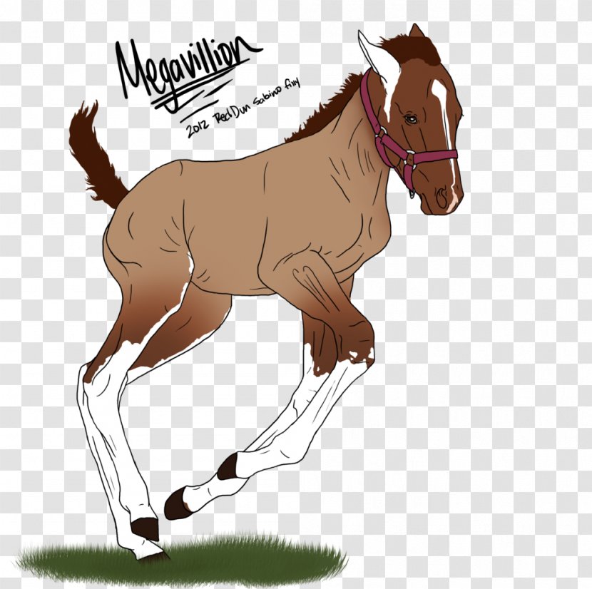 Mule Foal Stallion Mare Mustang - Horse - Shining Spark Transparent PNG