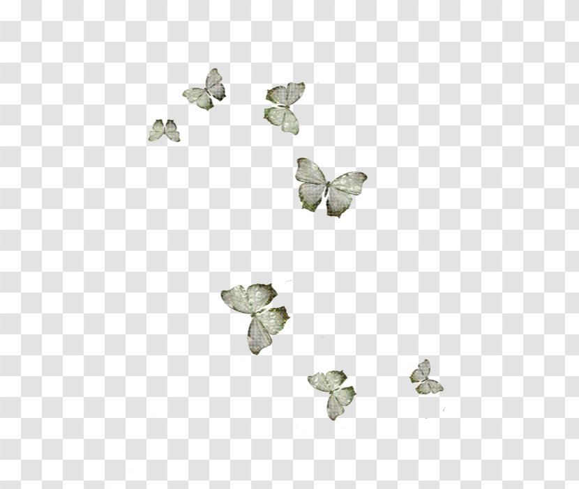 Butterfly Insect Dragonfly Keyword Tool - Invertebrate - Little Bird Love Transparent PNG