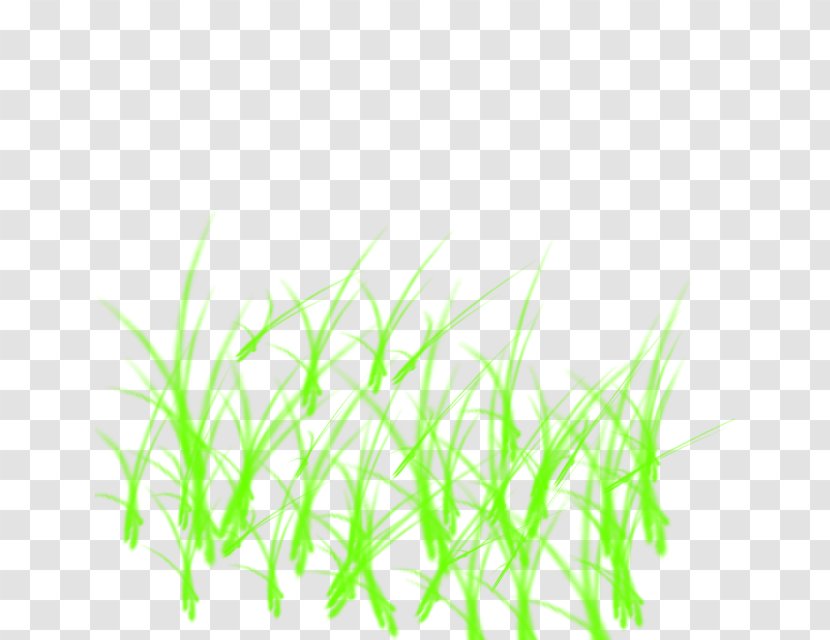 Sweet Grass Green Line Aquarium - Plant Stem Transparent PNG