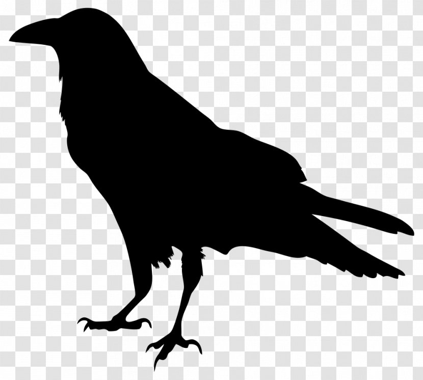 American Crow Common Raven Silhouette Drawing - Carrion Transparent PNG