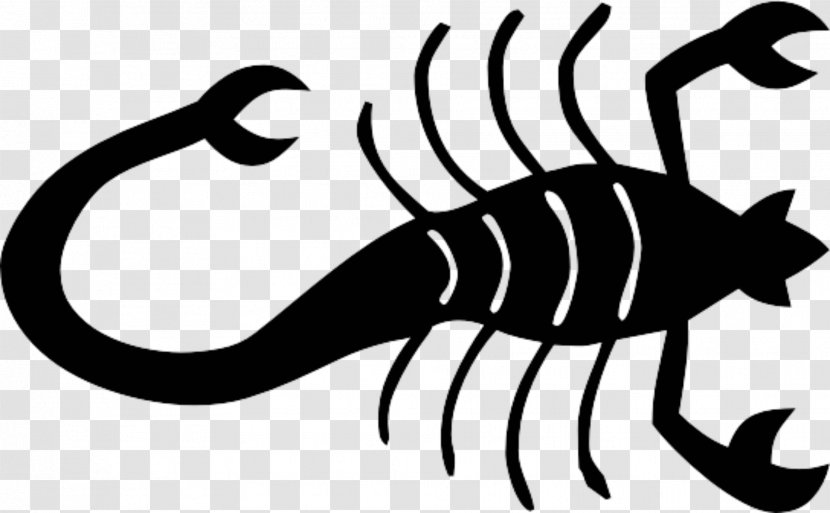 Scorpion Clip Art - Organism Transparent PNG