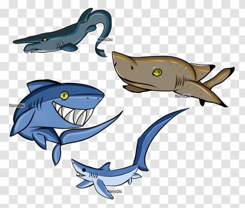 Shark Marine Mammal Dolphin Chondrichthyes Fish - Requiem - Cartoon Transparent PNG