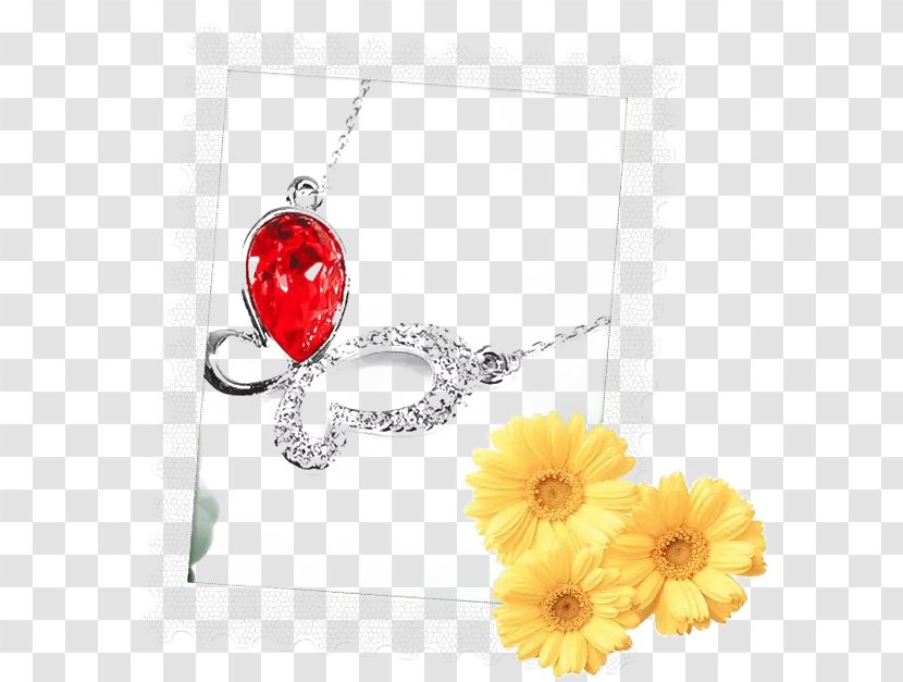 Locket - Grey - A Ruby ​​necklace Videos Transparent PNG