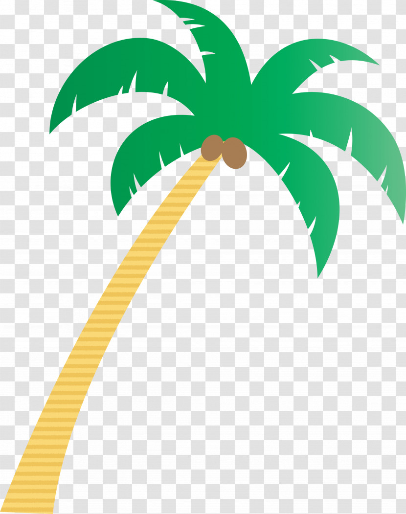 Palm Trees Transparent PNG