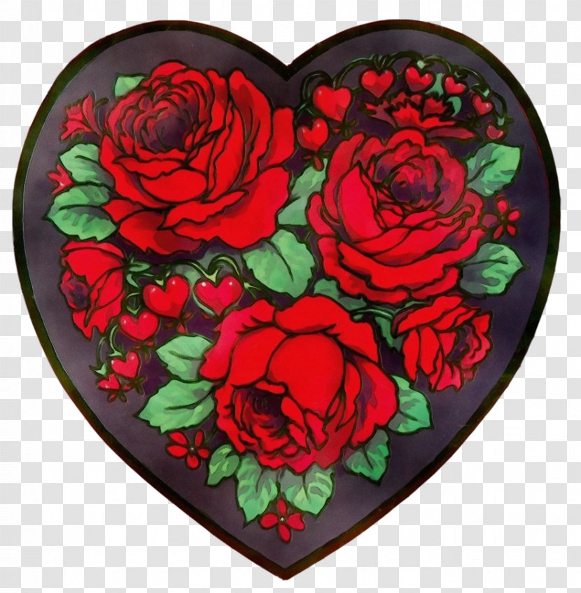Garden Roses - Rose - Family Floribunda Transparent PNG