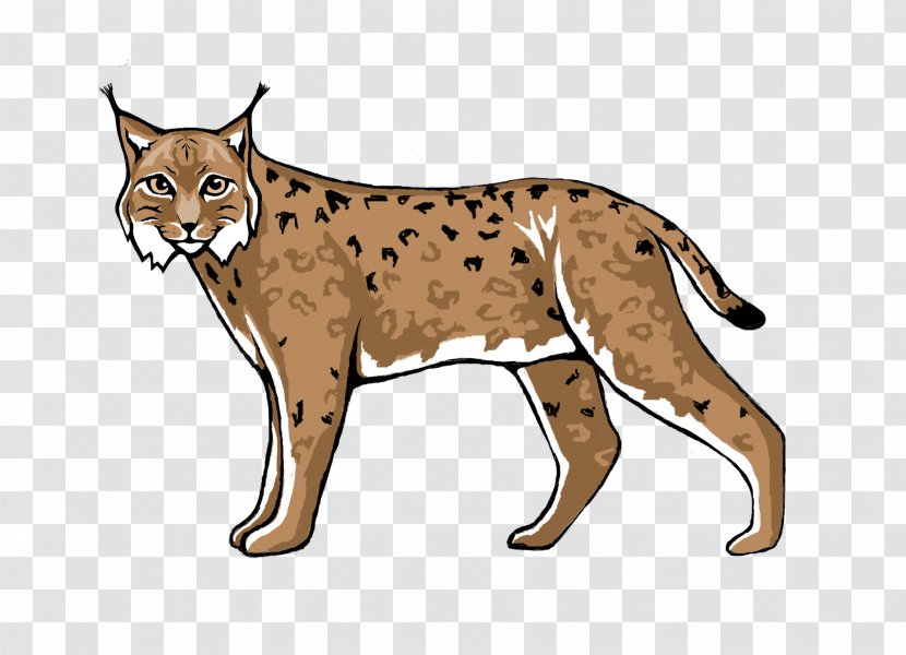 Wildcat Lynx Cougar Cheetah - Mammal Transparent PNG