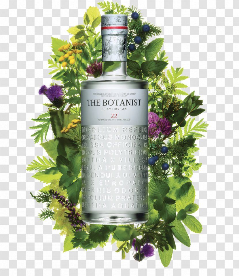Islay The Botanist Gin Liquor Whiskey - Cocktail Transparent PNG