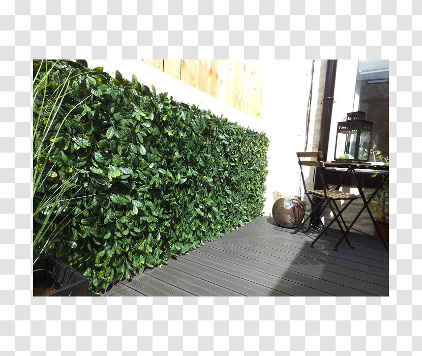 Hedge Fence Garden Patio Furniture - Wall Transparent PNG