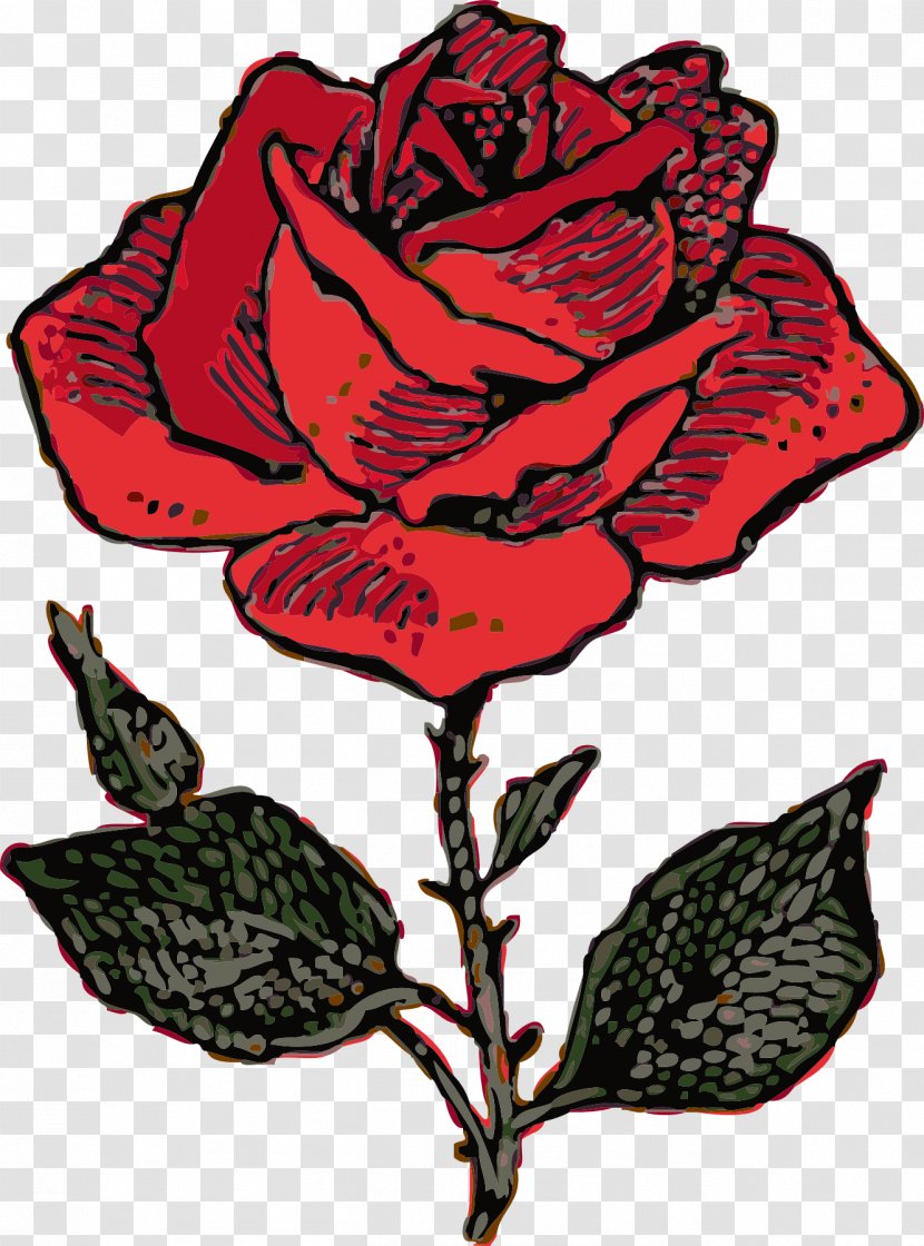 Rose Drawing Clip Art - Floristry - Vine Cliparts Transparent PNG