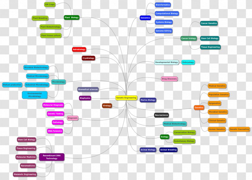 SRM Institute Of Science And Technology Genetics Molecular Biology Biotechnology - Evolutionary Transparent PNG