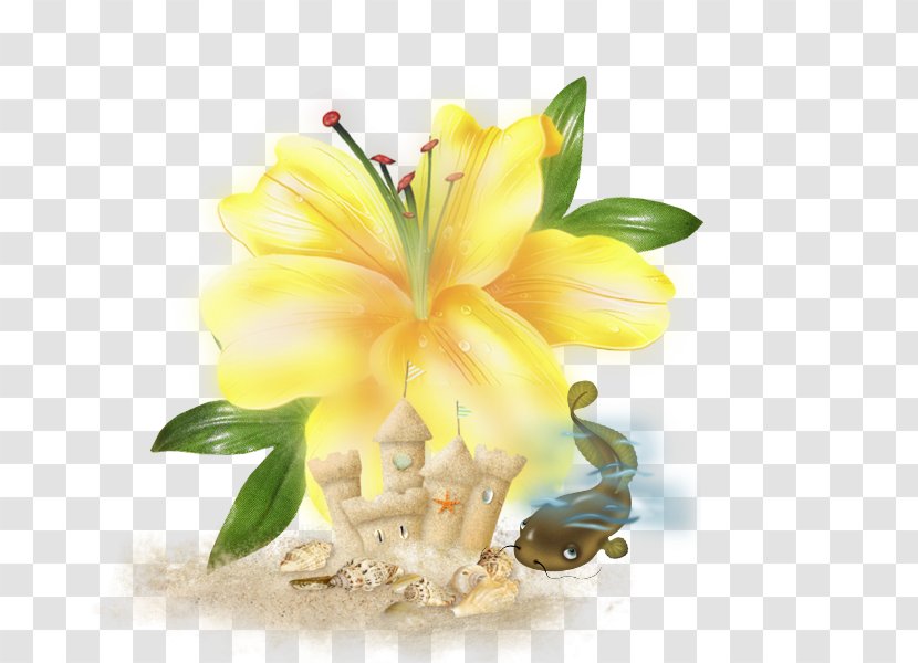 Cut Flowers Flower Bouquet Floral Design Lilium - Lily - Blog Transparent PNG