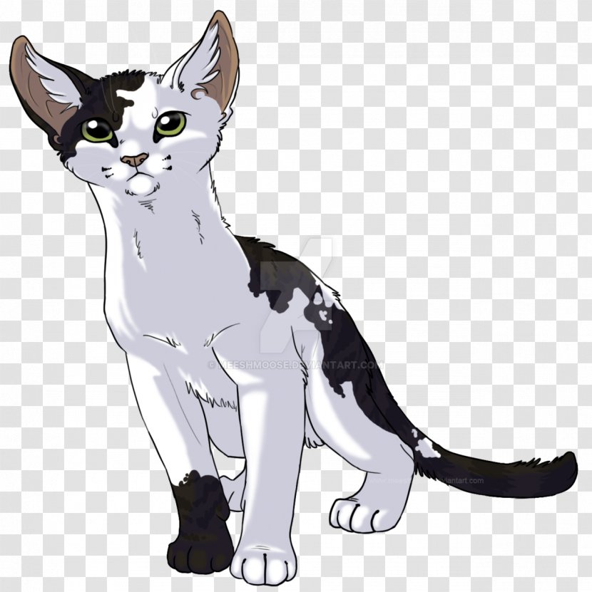 Kitten American Wirehair Whiskers Domestic Short-haired Cat Warriors - Fictional Character Transparent PNG