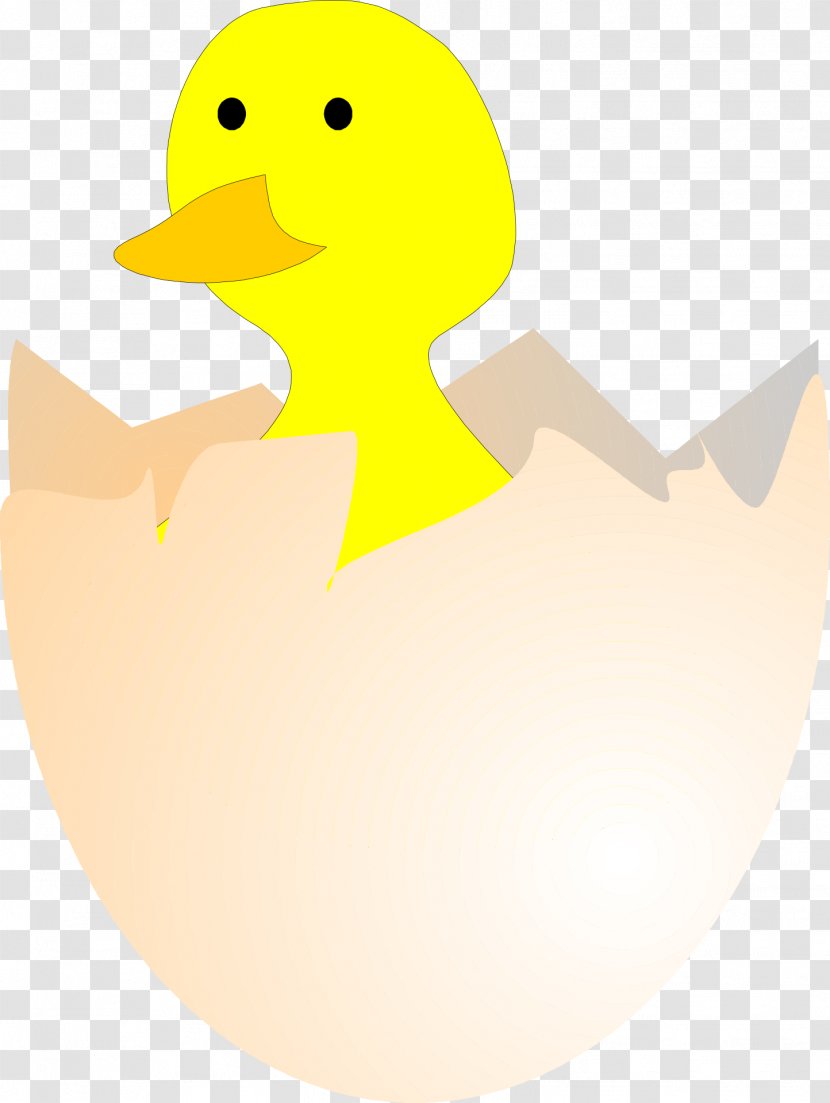 Duck Chicken Kifaranga Clip Art - Cartoon - Shell Transparent PNG
