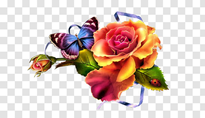 Cut Flowers Floral Design Clip Art Garden Roses - Flower Transparent PNG