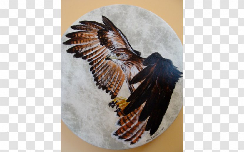 Earth And Spirit Gallery Taos Bird Of Prey Bald Eagle - Drums - Hand Painted Transparent PNG