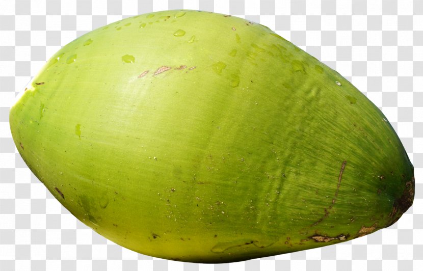 Watermelon Avocado Vegetable - Food - Green Coconut Fruit Transparent PNG