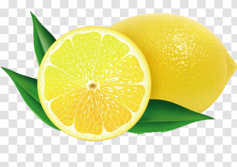 Juice Lemon-scented Gum Dessert Food - Zest - Fresh Lemon Transparent PNG