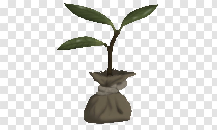 Leaf Flowerpot Houseplant Plant Stem Tree - Saplings Transparent PNG