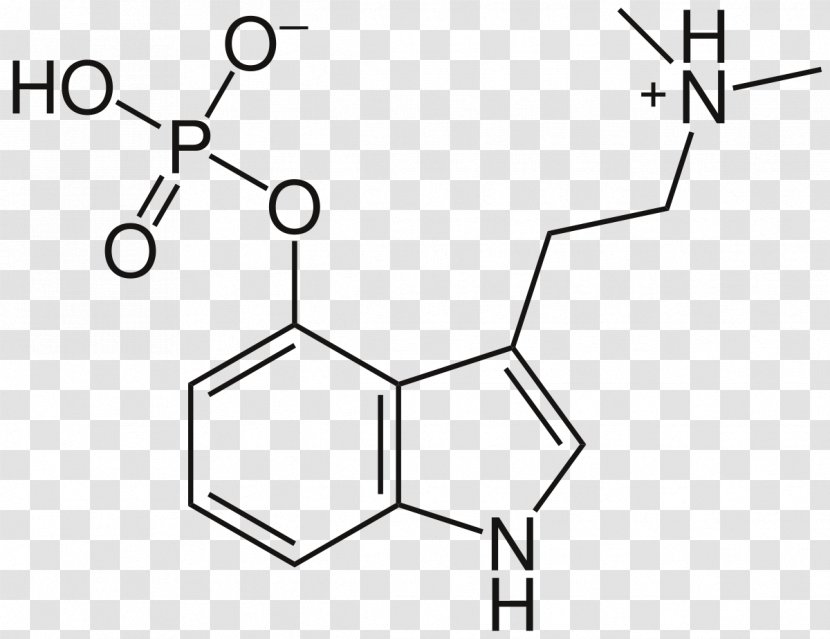 Psilocybin Mushroom Psychedelic Drug Molecule Liberty Cap - Diagram - Depression Transparent PNG