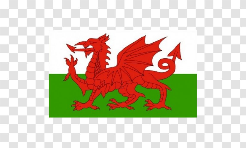 Flag Of Wales Welsh Dragon National - New South Transparent PNG