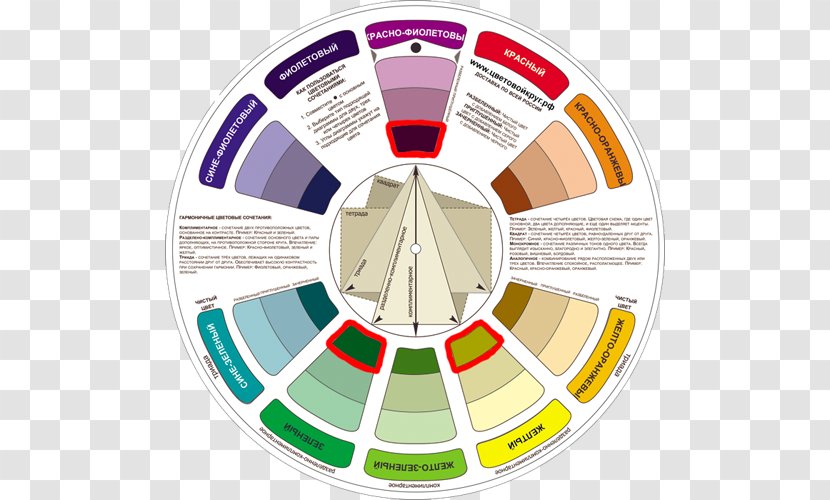 Color Wheel Scheme Complementary Colors Theory - Paint - Tints And Shades Transparent PNG