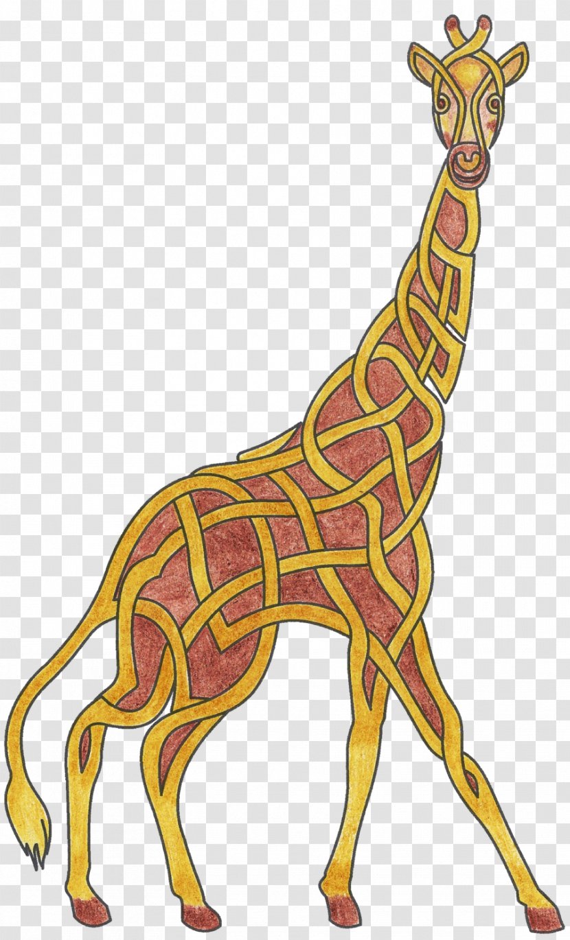 Giraffe Art Neck Animal Clip Transparent PNG