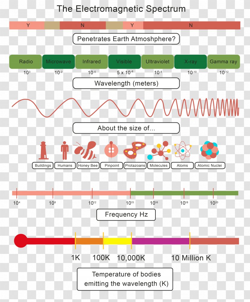 Electromagnetic Spectrum Radiation Wave Worksheet - Visible Transparent PNG