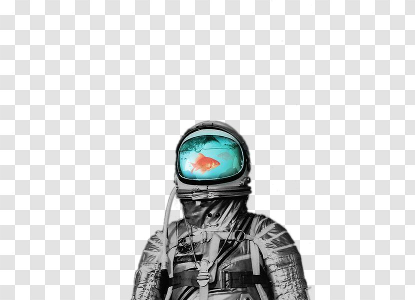 United States Astronaut Hall Of Fame Sticker Badge - We Heart It - Creative DesignSee The Fish Astronauts Transparent PNG