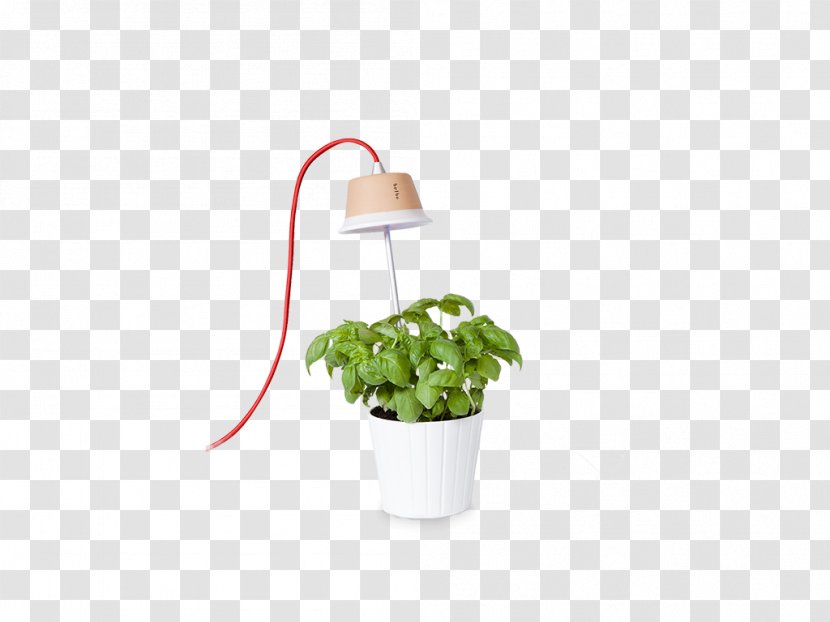 Flowerpot Lamp Light Fixture Plant Grow - Houseplant Transparent PNG