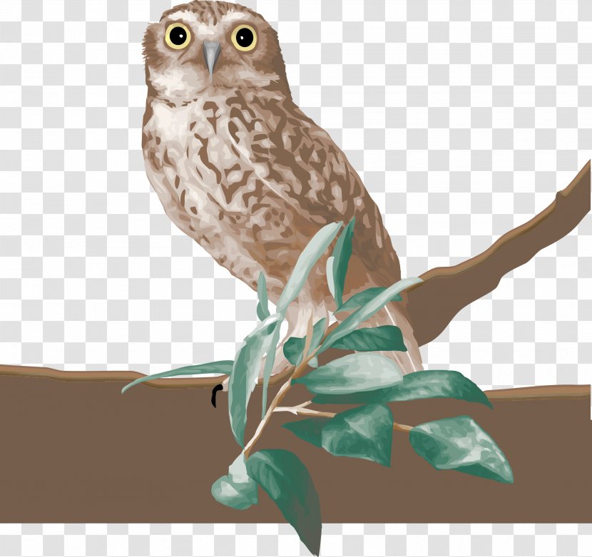 Owl Bird Columbidae Clip Art - Hawk - Pigeon Transparent PNG