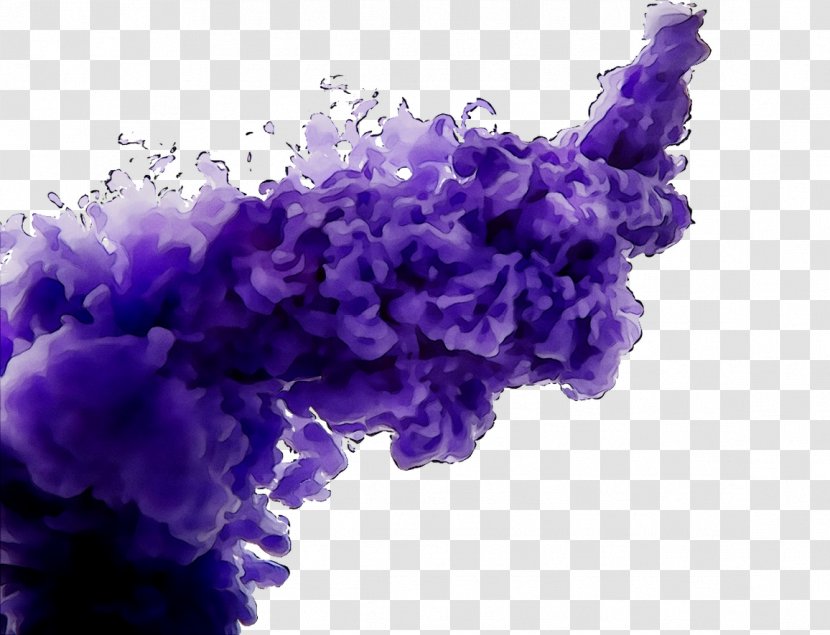 Lavender - Petal Transparent PNG
