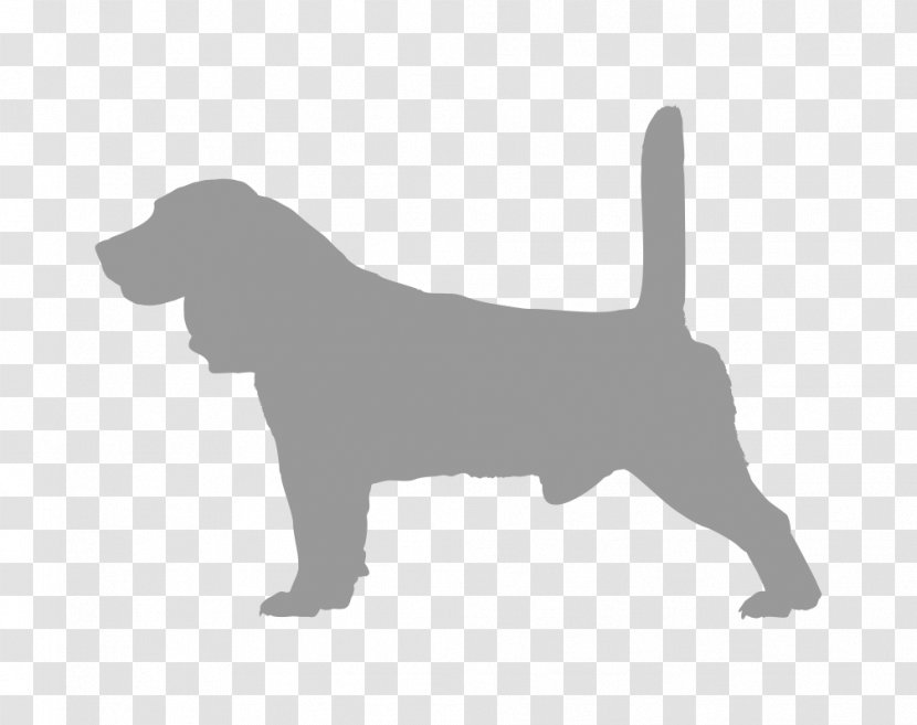 Labrador Retriever Puppy Dog Breed Food - Vertebrate Transparent PNG