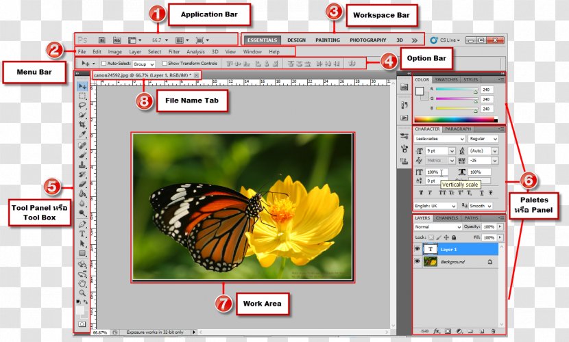 Screenshot Adobe Systems Computer Program - Teacher Transparent PNG