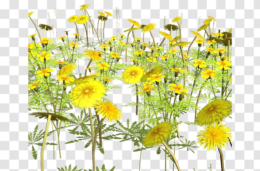 Yellow Flower Clip Art - Photoscape - Sunflower Cong Transparent PNG
