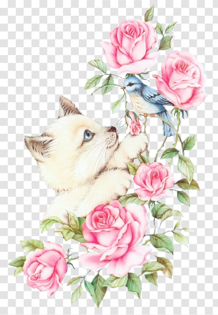 Greeting Friendship Happiness Afternoon Blessing - Rose - Chats Transparent PNG